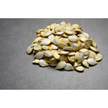 Organic Squash Seed